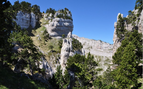 image_1